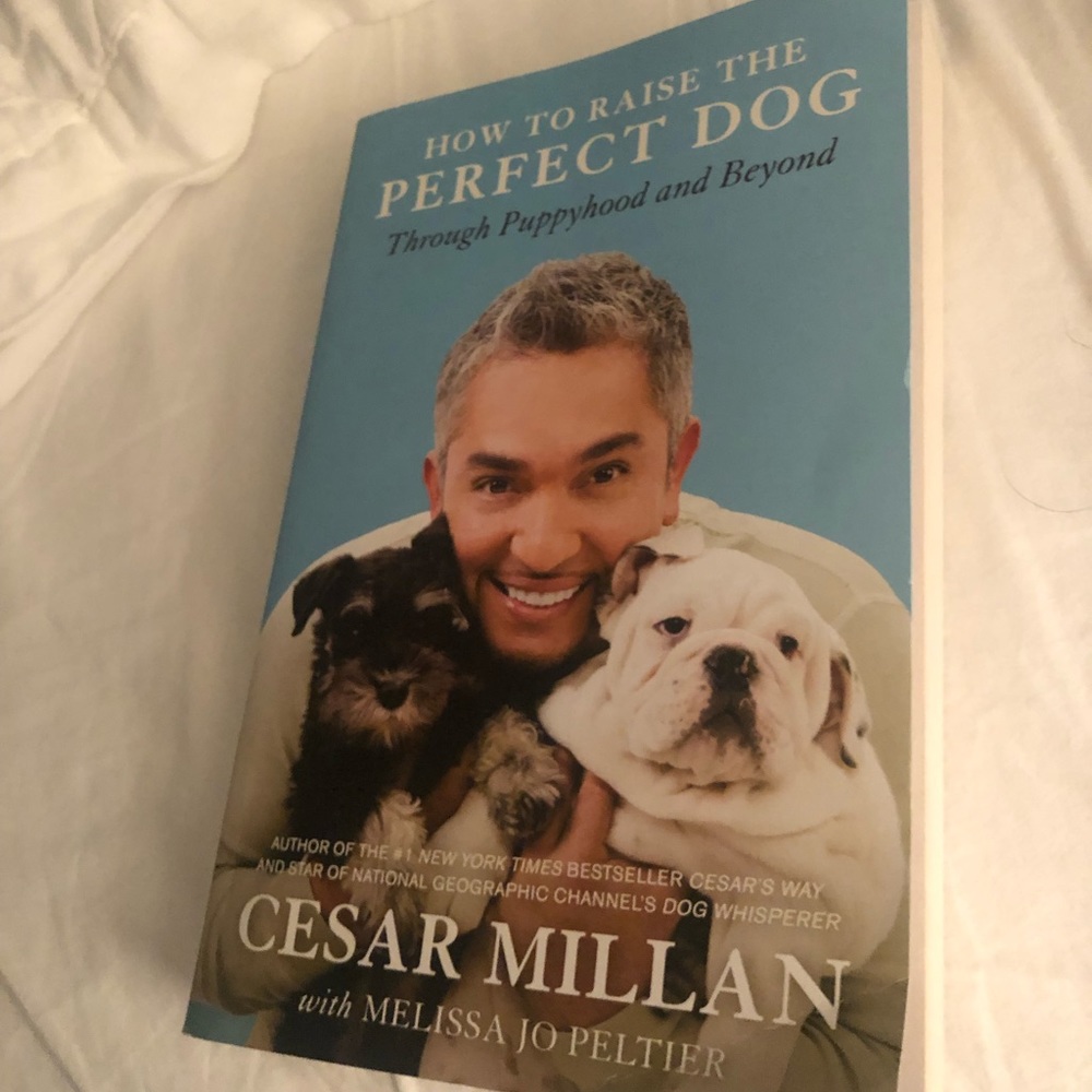 How to raise the perfect dog -new